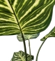 Detailaufnahme der Stängel und Blätter der Calathea Kunstpflanze