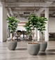 Geigenfeige Kunstpflanzen im Büro – moderne Raumbegrünung mit pflegefreien Ficus lyrata Bäumen