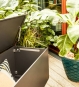Kissentruhe Hpl Wasserdicht Anthrazit Outdoor