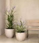 Ziergras Kunstpflanze mit Lavendelblüten Ambiente im Beton-Gefäß