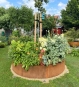 Garten Hochbeet rund aus Cortenstahl 200 x 40 cm