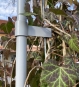 Pflanzübel mit Befestigungsstab für Fertighecke