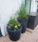 Runde, moderne Pflanzgefäße in Anthazit aus Fiberglas bepflanzt auf der Terrasse