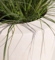 Pflanzgefaess Polystone Konisch Hoch Beige Bepflanzt