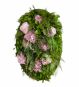 Pflanzenbild Hortensien Oval Moosmoos