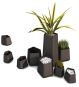 Qui Est Paul Rock Garden Blumentopf