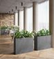 Blumenkübel Raumteiler mit Bepflanzung im Speisesaal