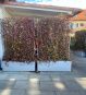 Tterrassen Sichtschutz mit Fertighecke
