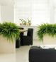 Blumenkübel Raumteiler Beige im Büro