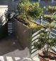 hohes schmales Pflanzbeet in grau als Sichtschutz auf dem Balkon