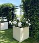 Pflanzkübel eckig beige Steinoptik mit Rosen im Garten